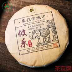 象往的地方 攸乐五年陈